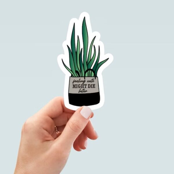 Snake Plant Lover Sticker Feeling Cute Might Die Later